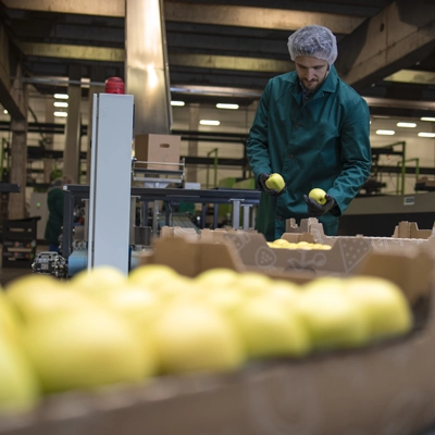 Corso online – Lavoratori Industria Alimentare – Aggiornamento – 6 ore